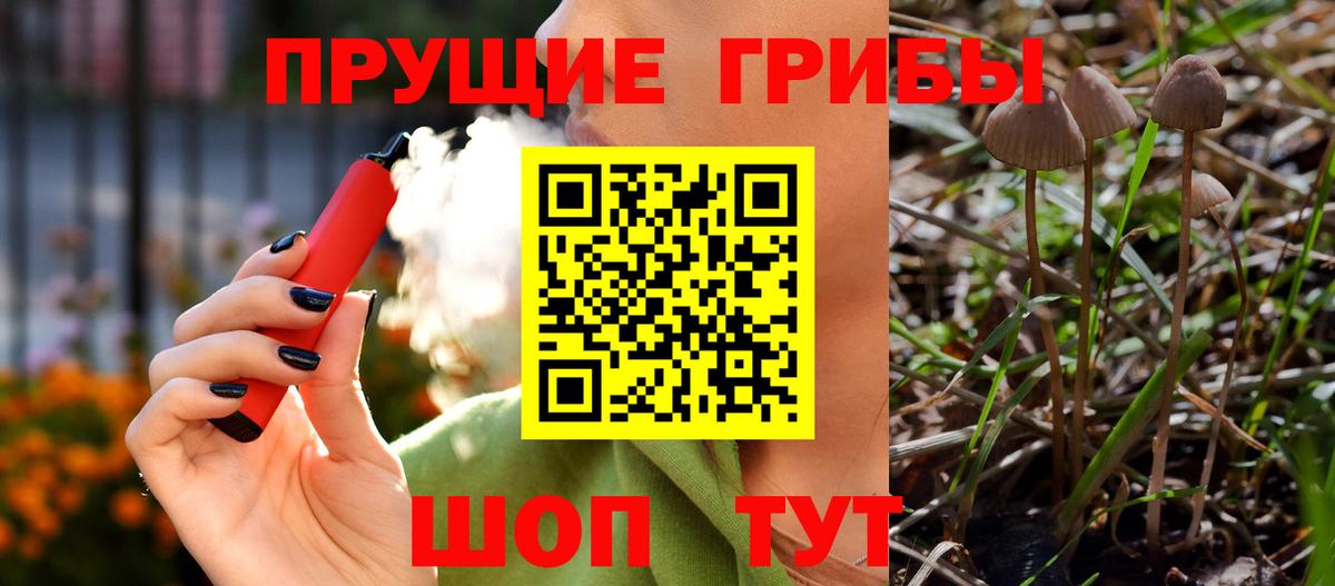 Псилоцибиновые грибы GOLDEN TEACHER Татарск